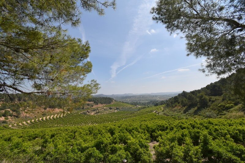 Unser Ruhestand im ländlichen Valencia!